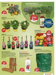 Gazetka promocyjna Vmarkt - Prospekte - Gazetka - ważna od 27.03 do 27.03.2024 - strona 21 - produkty: auer, balkonpflanzen, Bau, bio, blume, blumen, Blüte, dekoration, dünger, erde, flüssigdünger, Garten, gin, kokos, Kraut, natur, pflanze, pflanzen, ring, rwe, sac, Ti, tisch, topf, tragegriff, weck