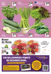 Gazetka promocyjna E Center - Angebote der Woche - Gazetka - ważna od 01.04 do 01.04.2023 - strona 3 - produkty: angebot, auer, blume, blumen, deutschland card, deutschlandcard, erde, LG, rosen, Ti