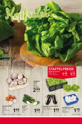 Gazetka promocyjna Selgros - Food - Gazetka - ważna od 09.08 do 09.08.2023 - strona 8 - produkty: aubergine, champignon, champignons, eis, Gemüsezwiebel, gin, knoblauch, LG, reis, rel, Ria, Schal, Schale, Ti, zucchini, zwiebel