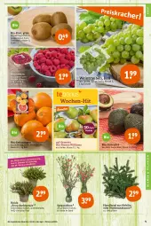 Gazetka promocyjna Tegut - Angebote der Woche - Gazetka - ważna od 29.10 do 29.10.2022 - strona 5 - produkty: angebot, angebote, avocado, avocados, Bau, beere, beeren, bio, Birnen, blume, blumen, dekoration, himbeer, himbeere, himbeeren, kiwi, obst, orange, orangen, pflanze, pflanzen, saft, Saftorangen, Schal, Schale, Ti, topf, trauben, wein