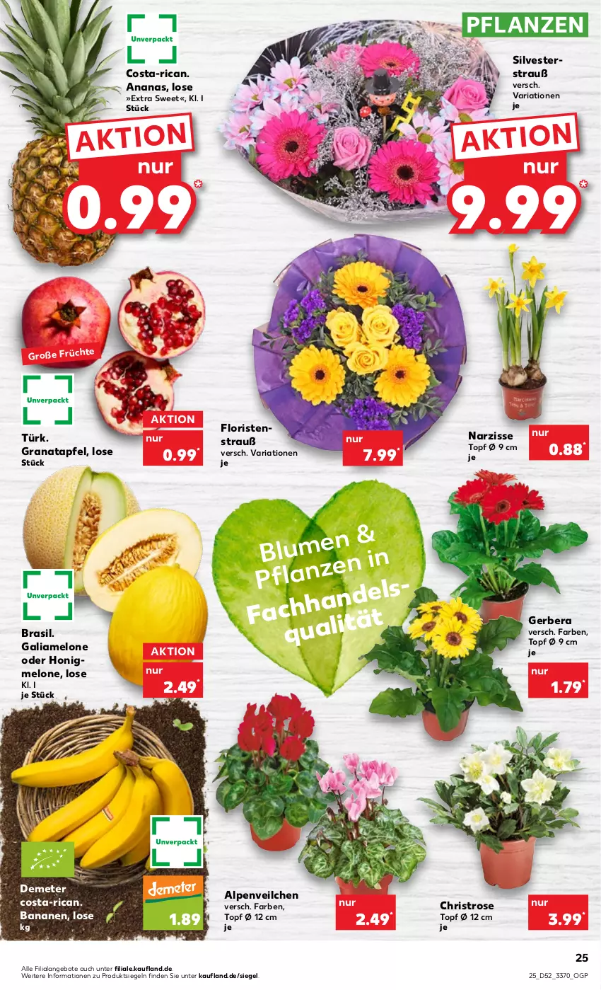 Aktueller Prospekt Kaufland - von 29.12.2022 bis 04.01.2023 - strona 25 - produkty: Alpenveilchen, ananas, angebot, angebote, apfel, banane, bananen, blume, galiamelone, Gerber, grana, granatapfel, honig, melone, pflanze, pflanzen, Rana, Ria, Ti, topf, topf ø 12 cm