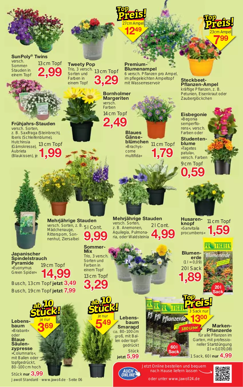 Aktueller Prospekt Jawoll - Prospekte - von 11.04 bis 15.04.2023 - strona 6 - produkty: ball, Bau, Begonia, Begonie, blume, blumen, Blumenampel, blumenerde, brie, eis, elle, ente, erde, Garten, kissen, Kraut, petunie, petunien, pflanze, pflanzen, pflanzerde, Rauch, Ria, ritter, sac, stauden, Ti, topf, vita, wasser, zauberglöckchen