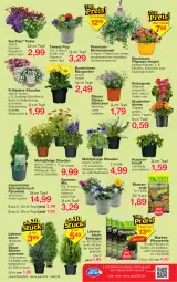 Gazetka promocyjna Jawoll - Prospekte - Gazetka - ważna od 15.04 do 15.04.2023 - strona 6 - produkty: ball, Bau, Begonia, Begonie, blume, blumen, Blumenampel, blumenerde, brie, eis, elle, ente, erde, Garten, kissen, Kraut, petunie, petunien, pflanze, pflanzen, pflanzerde, Rauch, Ria, ritter, sac, stauden, Ti, topf, vita, wasser, zauberglöckchen