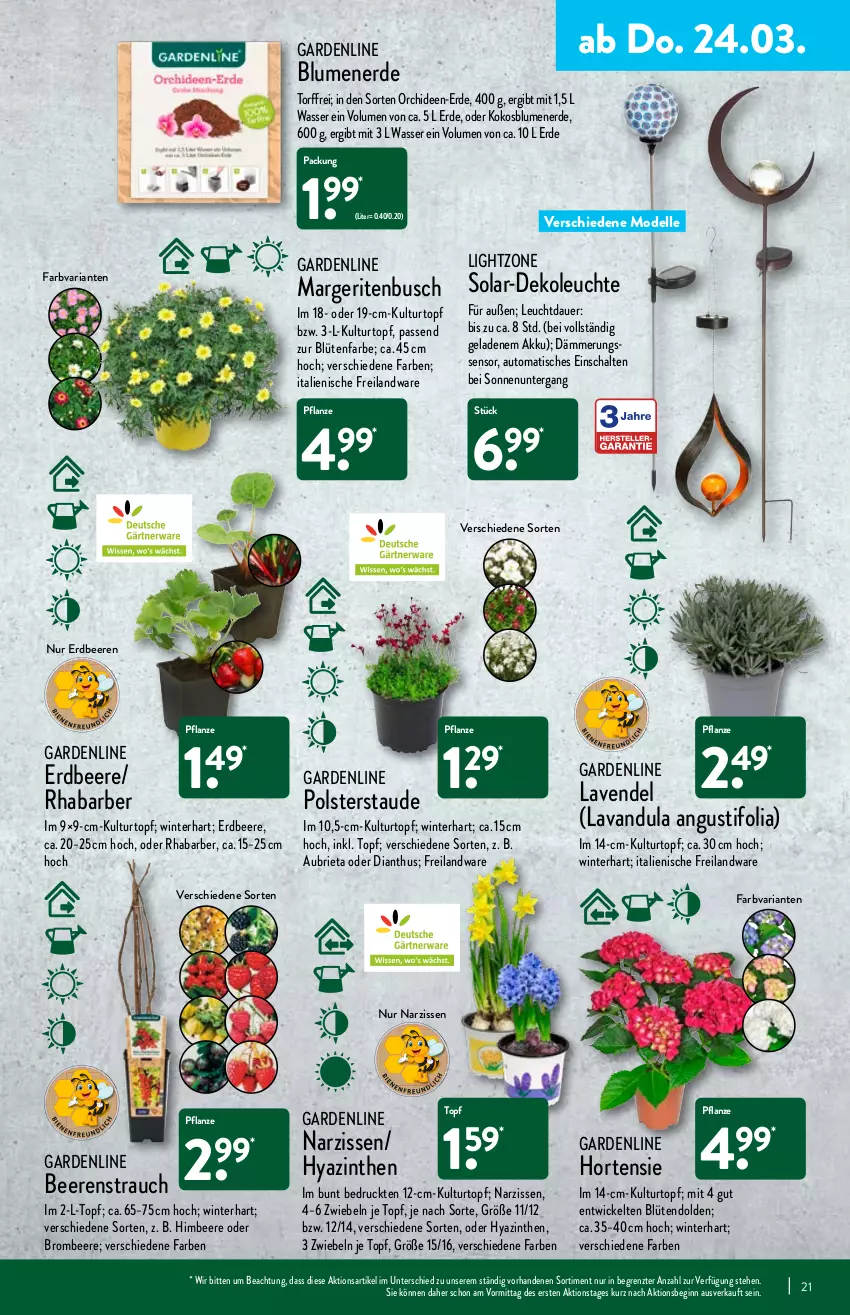 Aktueller Prospekt Aldi Nord - Aldi-Vorschau - von 21.03 bis 26.03.2022 - strona 21 - produkty: akku, auer, auto, beere, beeren, blume, blumen, blumenerde, Blüte, Brei, brie, brombeere, Dekoleuchte, dell, elle, erdbeere, erdbeeren, erde, gin, himbeer, himbeere, hortensie, kokos, kulturtopf, lavendel, Leuchte, lightzone, Mode, Narzissen, orchidee, orchideen, pflanze, Rauch, rhabarber, Ria, Schal, Ti, tisch, topf, wasser, WICK, ZTE, zwiebel, zwiebeln