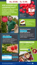 Gazetka promocyjna AldiSud - NÄCHSTE WOCHE - Gazetka - ważna od 12.08 do 12.08.2023 - strona 33 - produkty: aldi, alle artikel ohne dekoration, beere, beeren, decke, dekoration, dessert, eis, elle, fenster, frucht, himbeer, himbeere, himbeeren, mac, pril, quad, reis, ritter, rum, Schal, Schale, Sport, Ti, ZTE