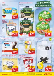 Gazetka promocyjna Netto Marken-Discount - Filial-Angebote - Gazetka - ważna od 11.02 do 11.02.2023 - strona 21 - produkty: almette, angebot, auer, aufstrich, Bad, Bau, Bauer, bergader, bestpreis, bier, brot, brotaufstrich, brotaufstriche, eis, ferrero, frischkäse, Grießpudding, hafer, joghur, joghurt, Käse, käsescheiben, Kinder, kinder pingui, landliebe, Mett, milch, milka, milkana, Müller, müllermilch, pingui, Popp, pudding, reis, sahne, Sahnejoghurt, Ti, zott, ZTE