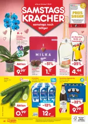 Gazetka promocyjna Netto Marken-Discount - Filial-Angebote - Gazetka - ważna od 11.02 do 11.02.2023 - strona 48 - produkty: angebot, angebote, asti, bestpreis, cin, cinzano, Cinzano Asti, discount, eis, gurke, gurken, Holz, kracher, marken-discount, Mett, milch, milka, ndk, orchidee, orchideen, pils, reis, Schmetterling, schmetterlingsorchidee, Ti, topf, vollmilch, wein, ZTE