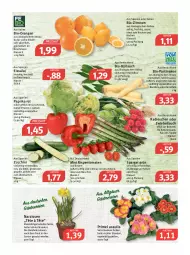 Gazetka promocyjna Feneberg - Prospekte - Gazetka - ważna od 02.04 do 02.04.2022 - strona 6 - produkty: asti, auer, Bau, bio, bio-zitronen, brot, eis, elle, erde, fisch, fleisch, frucht, Garten, grill, ilag, karotten, kartoffel, kartoffeln, kräuter, LG, mac, Narzissen, nuss, orange, orangen, paprika, paprika rot, quark, radieschen, reis, rispentomaten, rwe, saft, salat, salate, sauce, saucen, Schal, Schale, spargel, spargel grün, Ti, tisch, tomate, tomaten, topf, vita, zitrone, zitronen, zucchini, zwiebel, zwiebeln