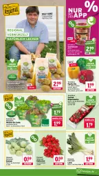 Gazetka promocyjna Wasgau - Gazetka - ważna od 22.08 do 22.08.2026 - strona 11 - produkty: Bau, beutel, bio, cocktail, eimer, eis, kartoffel, kartoffeln, kohlrabi, natur, natura, paprika, radieschen, reis, rispentomaten, salat, salate, Schal, Schale, snack, speisekartoffeln, tomate, tomaten, Zelt