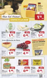 Gazetka promocyjna Combi - Prospekte - Gazetka - ważna od 22.06 do 22.06.2024 - strona 7 - produkty: angebot, angebote, brie, brot, brötchen, deutscher schnittkäse, doppelrahmstufe, eis, fleisch, fleischkäse, französischer weichkäse, frischkäse, frischkäsezubereitung, holländischer schnittkäse, kaes, Käse, korn, Kornbrot, limette, limetten, limo, limonen, lion, Mett, metten, milram, regal, reis, saft, schnittkäse, Schwarzbrot, stube, tafeltrauben, Ti, torte, trauben, vollkornbrot, weichkäse, wurst, ziegenkäse, ZTE