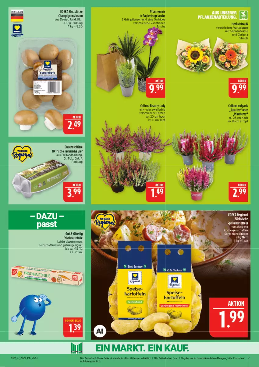 Aktueller Prospekt Marktkauf - Prospekt - von 06.09 bis 12.09.2026 - strona 9 - produkty: auer, Bau, Bauer, blume, braun, champignon, champignons, champignons braun, deka, eier, eis, Ergee, frischhaltefolie, Gerber, Grünpflanzen, kartoffel, kartoffeln, LG, mint, orchidee, papier, pflanze, pflanzen, reis, Ria, sonnenblume, Tasche, Ti, topf, tragetasche