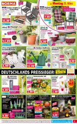 Gazetka promocyjna Norma - Norma - Gazetka - ważna od 01.04 do 01.04.2024 - strona 5 - produkty: akku, asti, auer, Bank, batterie, Bau, baumwolle, Bebe, blume, blumen, Blüte, brause, dell, edelstahl, eis, elle, Garten, Gartenfackel, Gießkanne, gin, Glaskugel, handschuhe, käfer, kissen, Kugel, leds, LG, lion, Mett, Mode, ndk, orange, Pfau, Pflanztopf, reis, reiss, Schmetterling, schuhe, Solarfackel, Spiele, stuhl, stuhlkissen, thermometer, Ti, tisch, topf, Topfen, usb, wandhalterung, wasser, wolle, ZTE