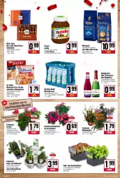 Gazetka promocyjna Kupsch - Angebote der Woche - Gazetka - ważna od 30.04 do 30.04.2022 - strona 2 - produkty: alkohol, Alwa, Begonie, bohne, bohnen, caffè crema, cola, creme, Dr. Oetker, ecco, eis, eisbergsalat, elle, Erdbeerpflanze, ferrero, flammkuchen, flasche, frucht, fruchtsecco, geranie, grill, kakao, kohlrabi, kopfsalat, kräuter, kuchen, lamm, mineralwasser, mövenpick, nuss, nuss-nugat-creme, nutella, pflanze, pflanzen, pizza, ristorante, ristorante pizza, ritter, ritter sport, rotkäppchen, salat, schoko, schokolade, sekt, Sport, Ti, topf, wasser