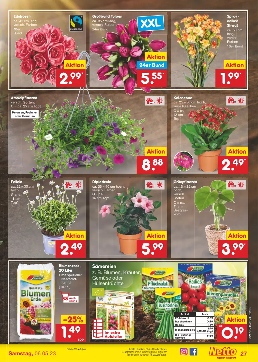 Aktueller Prospekt Netto Marken-Discount - Filial-Angebote - von 02.05 bis 06.05.2023 - strona 27 - produkty: angebot, bestpreis, bio, blume, blumen, blumenerde, bohne, bohnen, Buschbohnen, dip, dipladenia, eis, elle, erde, früchte, geranie, geranien, Grünpflanzen, hülsenfrüchte, Kalanchoe, korb, kräuter, petunie, petunien, pflanze, pflanzen, reis, rosen, salat, senf, Spezi, teller, Ti, topf, ZTE