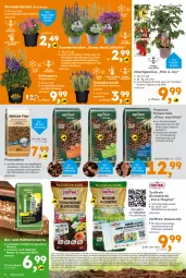 Gazetka promocyjna - Gazetka - ważna od 14.06 do 14.06.2025 - strona 6 - produkty: auer, Bau, beutel, bio, blume, blumen, blumenerde, Blüte, chili, dekoration, eis, elle, erde, frucht, gurke, gurken, HP, Kinder, Kraut, lamm, lavendel, LG, mit frucht, natur, paprika, rasen, Rasenerde, reis, rind, ritter, Rollrasen, sac, starlight, stauden, Ti, tomate, tomaten, topf, usb