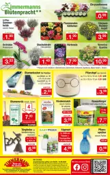 Gazetka promocyjna Zimmermann - Prospekte - Gazetka - ważna od 13.08 do 13.08.2022 - strona 10 - produkty: angebot, angebotspreis, blume, blumen, blumenerde, Blüte, dip, Draht, eis, elle, erde, Kraut, LG, orchidee, Palette, pflanze, pflanzen, Pflanztopf, phalaenopsis, reis, rind, rindenmulch, rwe, sonderposten, teller, Ti, topf, Zement