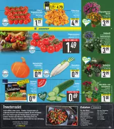 Gazetka promocyjna E Center - Angebote der Woche - Gazetka - ważna od 03.09 do 03.09.2022 - strona 3 - produkty: Alpenveilchen, auer, beere, beeren, beutel, bier, Blüte, brot, chrysanthemen, cocktail, coupon, decke, deka, dressing, eis, ente, erdbeere, erdbeeren, Feigen, feta, gurke, honig, Kürbis, mac, nuss, olive, oliven, olivenöl, pfeffer, Pfifferlinge, pflanze, pflanzen, pinienkerne, Radicchio, reis, Rettich, rezept, rezepte, rispentomaten, Romanasalat, rum, saft, salat, Salatgurke, Salatmix, salz, Schal, Schale, senf, super-knüller, Ti, tomate, tomaten, topf, zitrone, zitronen, zitronensaft, zwiebel, zwiebeln