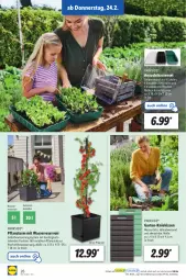 Gazetka promocyjna Lidl - Aktionsprospekt - Gazetka - ważna od 26.02 do 26.02.2022 - strona 26 - produkty: Behälter, eis, ente, Garten, kissen, Kniekissen, ndk, Parkside, pflanze, Ria, Schal, Schale, Ti, wasser