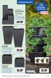 Gazetka promocyjna Lidl - Aktionsprospekt - Gazetka - ważna od 26.02 do 26.02.2022 - strona 27 - produkty: angebot, Bau, dell, eis, elle, Garten, kartoffel, Mode, Parkside, reis, Schal, Schale, Ti, topf, ZTE