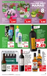 Gazetka promocyjna Kaufland - Gazetka - ważna od 04.05 do 04.05.2022 - strona 39 - produkty: angebot, angebote, beere, bio, bourbon, chardonnay, cola, doppio passo, drink, eis, elle, energy drink, erfrischungsgetränk, fleisch, Geflügel, getränk, grand sud, grill, grillo, himbeer, jim beam, Käse, kentucky straight, kirsch, kirsche, kirschen, konfitüre, likör, mam, merl, merlot, passo, pflanze, pflanzen, pils, pilsener, primitivo, rotwein, salat, Ti, topf, tuc, veltins, veltins pilsener, wein, weine, whiskey, ZTE, zucker