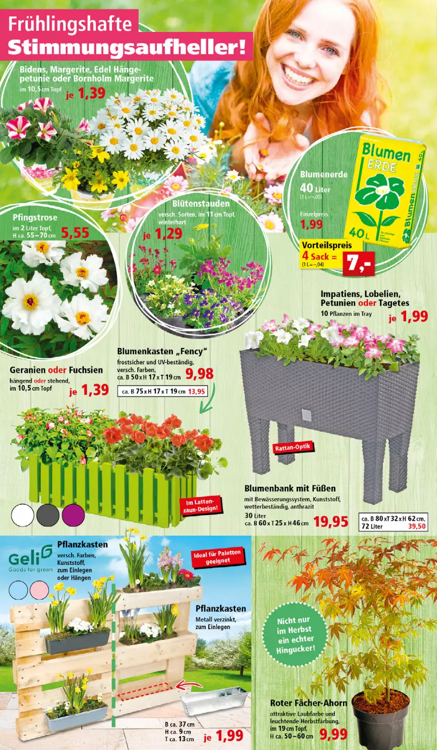 Aktueller Prospekt Thomas Philipps - FrÃ¼hlingsangebote entdecken - von 04.04 bis 30.04.2022 - strona 2 - produkty: Bank, blume, blumen, elle, geranie, geranien, Leuchte, leuchten, Lobelie, Palette, petunie, petunien, pflanze, pflanzen, Pflanzkasten, sac, Ti, topf