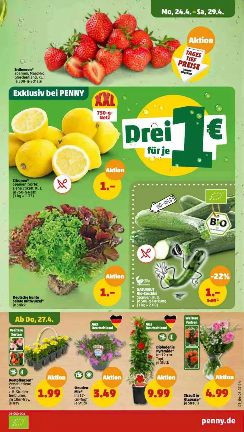 Aktueller Prospekt Penny - Prospekte - von 24.04 bis 29.04.2023 - strona 3 - produkty: beere, beeren, blume, erdbeere, erdbeeren, Schal, Schale, Ti, topf, Vase