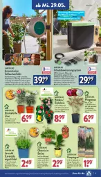 Gazetka promocyjna Aldi Nord - Von Montag - Gazetka - ważna od 01.06 do 01.06.2024 - strona 21 - produkty: auer, auto, banane, Becher, beere, Behälter, dip, dipladenia, erdbeere, gin, kaffee, kulturtopf, lavendel, obst, pflanze, pflanzen, Ria, Roller, Schal, schlauch, schläuche, Ti, tisch, tomate, topf, uhr, wandhalterung, wasser, ZTE