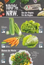 Gazetka promocyjna Edeka - Angebote der Woche - Gazetka - ważna od 07.01 do 07.01.2023 - strona 8 - produkty: angebot, blume, blumen, elle, kopfsalat, salat, spitzkohl, stauden, Ti