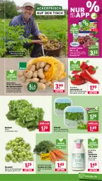 Gazetka promocyjna Wasgau - Gazetka - ważna od 31.10 do 31.10.2026 - strona 9 - produkty: beutel, bio, eimer, eis, feldsalat, flasche, gin, karotten, kartoffel, kartoffeln, kopfsalat, natur, natura, paprika, paprika rot, reis, rosen, Rosenkohl, salat, Schal, Schale, speisekartoffeln, Spitzpaprika, Sylter, Ti, tisch, trauben, Zum Dorfkrug