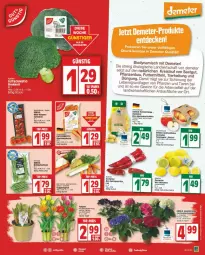 Gazetka promocyjna Edeka - Prospekte - Gazetka - ważna od 03.02 do 03.02.2024 - strona 3 - produkty: Bau, beutel, bio, bio-zitronen, bohne, bohnen, deka, eis, hortensie, hortensien, mac, möhren, paprika, pflanze, pflanzen, reis, Schal, Schale, speisemöhren, Spitzpaprika, suppe, suppen, tafeläpfel, Ti, Tiere, zitrone, zitronen