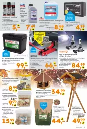 Gazetka promocyjna - Gazetka - ważna od 18.10 do 18.10.2025 - strona 9 - produkty: auer, batterie, beutel, blume, blumen, braun, cin, eimer, eis, elle, energizer, ente, erde, erdnuss, felgen, flasche, Holz, Kette, kfz-verbandkasten, Knödel, lack, Lampe, leine, LG, Maske, Meisenknödel, messer, ndk, nerf, nuss, Osram, pavillon, Rauch, reis, sac, Scheibenfrostschutz, Scheinwerferlampe, sonnenblume, sonnenblumen, Sonnenblumenkerne, teller, Ti, usb, Verbandkasten, Vogelfutter, Wild