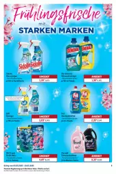 Gazetka promocyjna Metro - Starke Marken - Gazetka - ważna od 10.05 do 10.05.2025 - strona 9 - produkty: allzweckreiniger, angebot, biff, feinwaschmittel, flasche, Glasreiniger, kraft, Palette, perwoll, pril, reiniger, sidolin, sprühflasche, spülmittel, Ti, waschmittel, wc frisch, WC Frisch Kraft Aktiv, weck