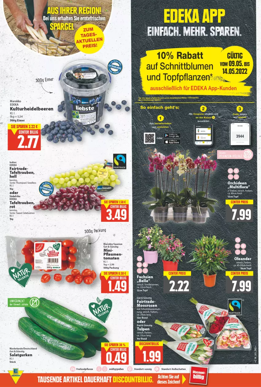 Aktueller Prospekt E Center - Angebote der Woche - von 09.05 bis 14.05.2022 - strona 5 - produkty: auer, beere, beeren, blume, blumen, deka, eimer, ente, gurke, gurken, heidelbeere, heidelbeeren, orchidee, orchideen, pflanze, pflaume, pflaumen, rosen, salat, Salatgurke, salatgurken, tafeltrauben, Ti, tomate, tomaten, topf, trauben