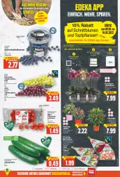 Gazetka promocyjna E Center - Angebote der Woche - Gazetka - ważna od 14.05 do 14.05.2022 - strona 5 - produkty: auer, beere, beeren, blume, blumen, deka, eimer, ente, gurke, gurken, heidelbeere, heidelbeeren, orchidee, orchideen, pflanze, pflaume, pflaumen, rosen, salat, Salatgurke, salatgurken, tafeltrauben, Ti, tomate, tomaten, topf, trauben