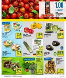 Gazetka promocyjna Diska - Prospekte - Gazetka - ważna od 18.06 do 18.06.2022 - strona 5 - produkty: aktionspreis, antipasti, asti, auer, avocado, Bau, Bauer, Becher, blume, burger, chiquita, deka, eis, fisch, grill, guacamole, gurke, HP, kartoffel, kartoffeln, knorr, lavendel, mini-rispentomaten, paprika, paprika rot, pflanze, pflanzen, reis, Ria, rispentomaten, Romanasalat, salat, Salatgurke, Schal, Schale, sonnenblume, speisekartoffeln, Ti, tomate, tomaten, topf, ZTE