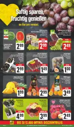 Gazetka promocyjna Edeka - Prospekte - Gazetka - ważna od 07.09 do 07.09.2024 - strona 4 - produkty: Abtei, beere, beeren, bio, blume, blumen, elle, frucht, himbeer, himbeere, himbeeren, Kuner, tee, Ti