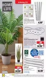 Gazetka promocyjna Lidl - Aktionsprospekt - Gazetka - ważna od 27.05 do 27.05.2023 - strona 10 - produkty: angebot, dell, eis, elle, fenster, Holz, Kunstpflanze, lachs, Leuchte, möbel, Mode, ndk, paar schuhe, pflanze, regal, reis, ring, Schal, Schale, Schrank, schuhe, schuhregal, silvercrest, steckdose, Steckdosenleiste, Ti, topf, uhr, usb, ZTE