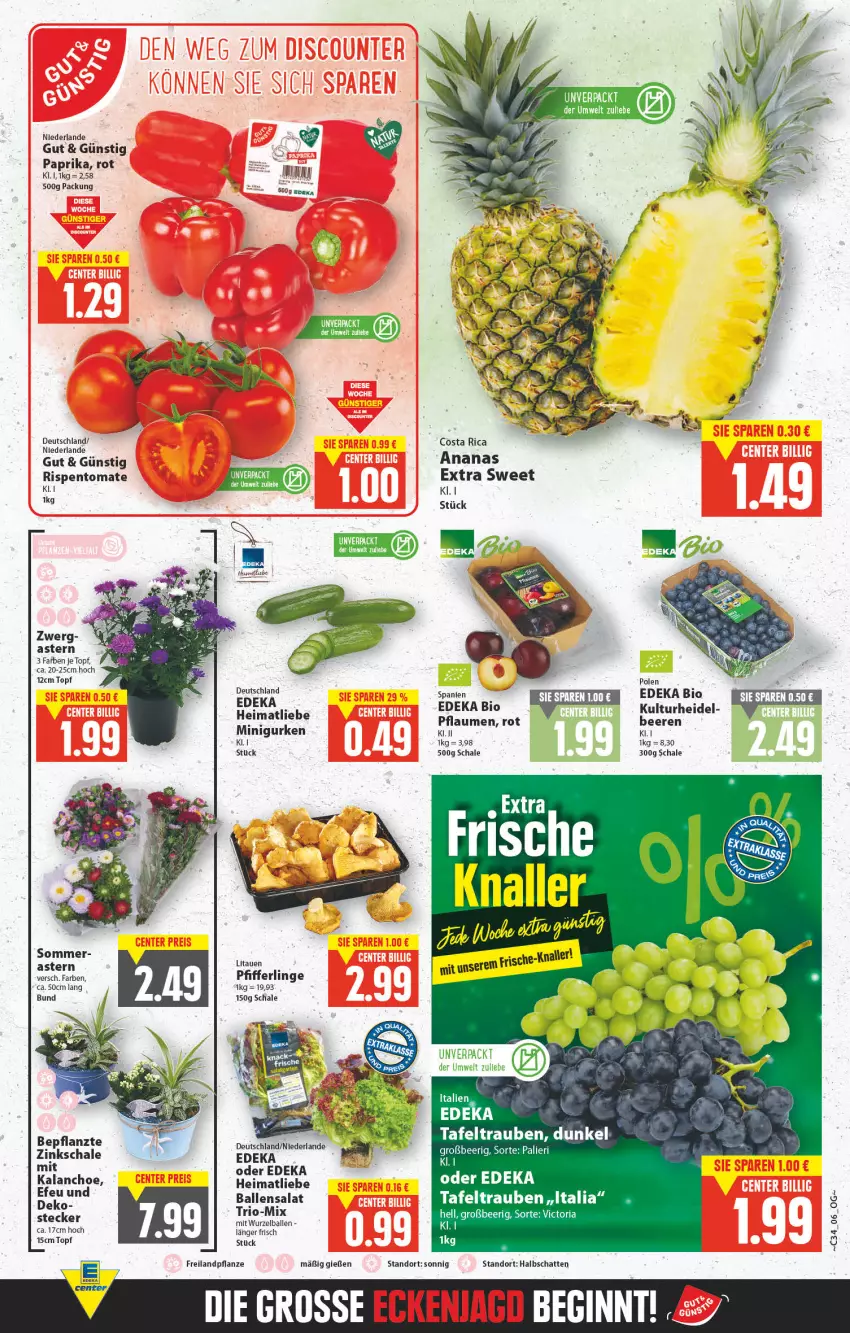 Aktueller Prospekt E Center - Angebote der Woche - von 22.08 bis 27.08.2022 - strona 3 - produkty: ananas, ball, beere, beeren, bio, deka, edeka bio, gin, gurke, gurken, Kalanchoe, paprika, Pfifferlinge, pflanze, pflaume, pflaumen, salat, Schal, Schale, tafeltrauben, tee, Ti, tomate, topf, trauben, tuc, ZTE