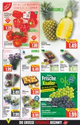 Gazetka promocyjna E Center - Angebote der Woche - Gazetka - ważna od 27.08 do 27.08.2022 - strona 3 - produkty: ananas, ball, beere, beeren, bio, deka, edeka bio, gin, gurke, gurken, Kalanchoe, paprika, Pfifferlinge, pflanze, pflaume, pflaumen, salat, Schal, Schale, tafeltrauben, tee, Ti, tomate, topf, trauben, tuc, ZTE