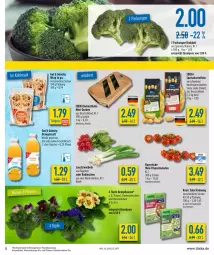 Gazetka promocyjna Diska - Prospekte - Gazetka - ważna od 12.03 do 12.03.2022 - strona 5 - produkty: beetpflanzen, brokkoli, burger, deka, eis, fisch, flasche, fleisch, frucht, fruchtfleisch, gurke, gurken, kartoffel, kartoffeln, knorr, Lauchzwiebel, lauchzwiebeln, mini-gurken, mini-rispentomaten, orange, orangen, orangensaft, pflanze, pflanzen, radieschen, reis, rispentomaten, saft, salat, Schal, Schale, speisekartoffeln, Ti, tiefpreis, tomate, tomaten, wrap, zwiebel, zwiebeln