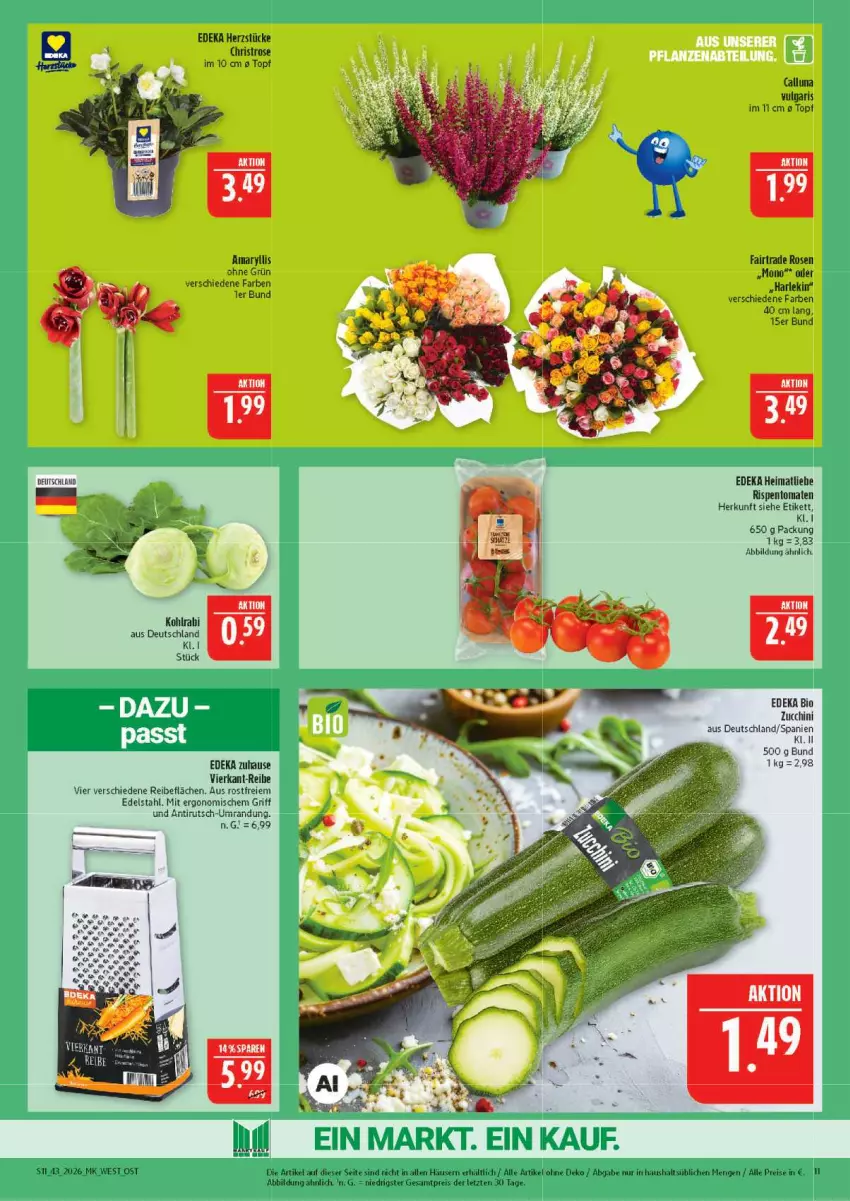 Aktueller Prospekt Marktkauf - Prospekt - von 18.10 bis 24.10.2026 - strona 11 - produkty: bio, deka, edeka bio, edelstahl, eis, kohlrabi, LG, reis, rispentomaten, rosen, Ti, tomate, tomaten, topf, ZTE, zucchini