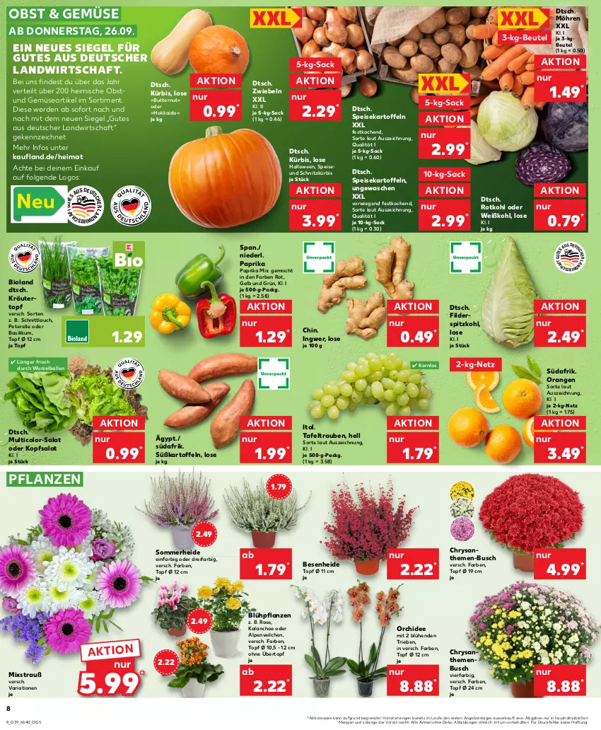 Aktueller Prospekt Kaufland - Prospekt - von 26.09 bis 02.10.2024 - strona 8 - produkty: Alpenveilchen, angebot, ball, basilikum, beutel, bio, bioland, butter, chrysanthemen, eis, erde, HP, ingwer, Kalanchoe, kartoffel, kartoffeln, kopfsalat, kräuter, Kürbis, LG, möhren, obst, orange, orangen, orchidee, paprika, paprika mix, petersilie, pflanze, pflanzen, Ria, rotkohl, sac, salat, schnittlauch, speisekartoffeln, spitzkohl, Süßkartoffeln, tafeltrauben, Ti, topf, topf ø 12 cm, trauben, übertopf, und gemüse, Weißkohl, ZTE, zwiebel, zwiebeln