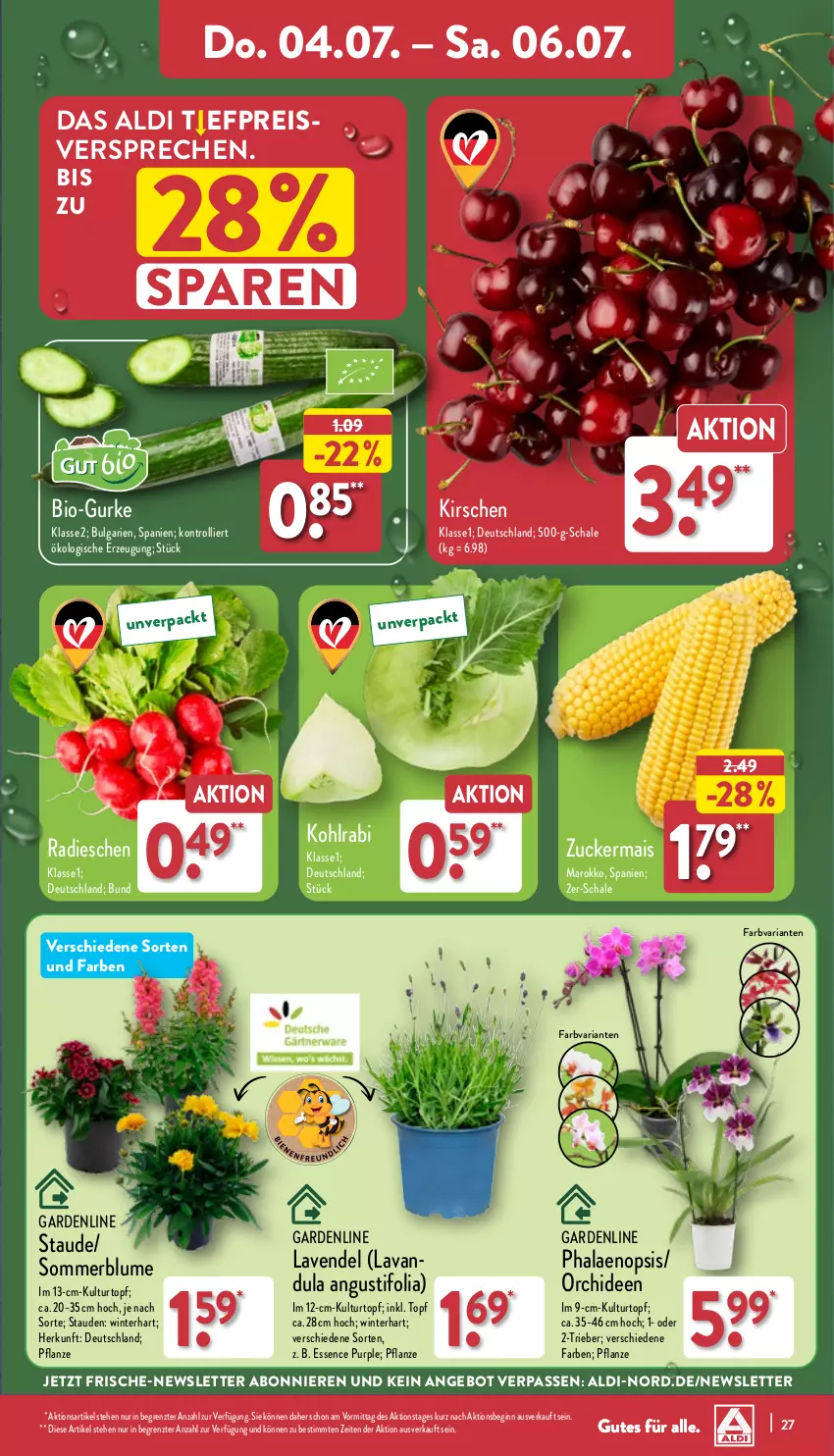 Aktueller Prospekt Aldi Nord - Von Montag - von 01.07 bis 06.07.2024 - strona 27 - produkty: aldi, angebot, bio, blume, Blüte, Brei, eis, gin, gurke, kirsch, kirsche, kirschen, kohlrabi, kulturtopf, lavendel, LG, mais, orchidee, orchideen, pflanze, phalaenopsis, radieschen, reis, Ria, Schal, Schale, stauden, Ti, topf, trolli, ZTE, zucker, zuckermais