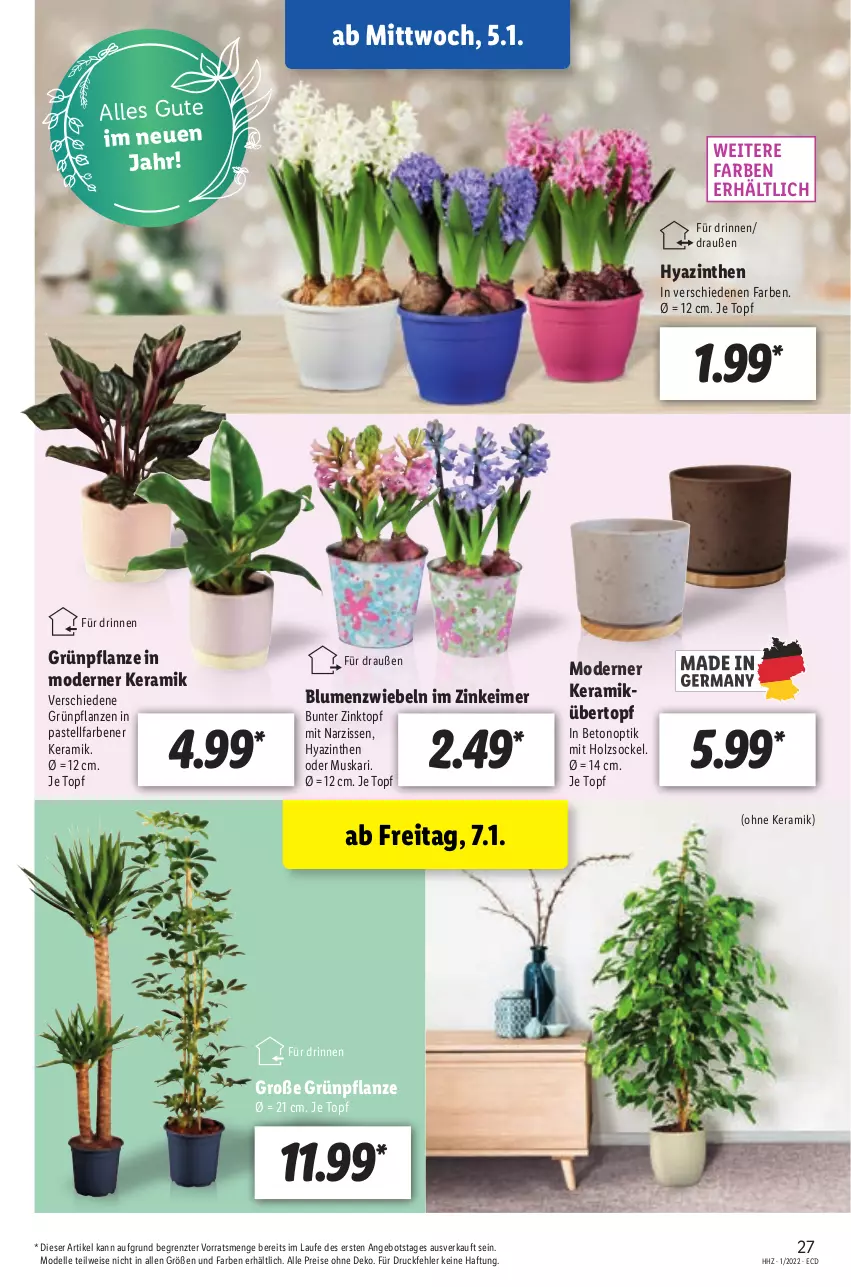 Aktueller Prospekt Lidl - Aktionsprospekt - von 03.01 bis 08.01.2022 - strona 27 - produkty: angebot, blume, blumen, dell, eimer, eis, elle, Grünpflanzen, Holz, Mode, Narzissen, pflanze, pflanzen, reis, Ti, topf, übertopf, ZTE, zwiebel, zwiebeln