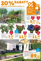 Gazetka promocyjna  - Gazetka - ważna od 27.06 do 27.06.2026 - strona 4 - produkty: beispielabbildung, Blüte, chili, eis, elle, frucht, Garten, gurke, gurken, hortensie, hydrangea, hydrangea macrophylla, käfer, leine, LG, mac, mit frucht, paprika, pflanze, pflanzen, rosen, stauden, Ti, tomate, tomaten, topf, wäschespinne