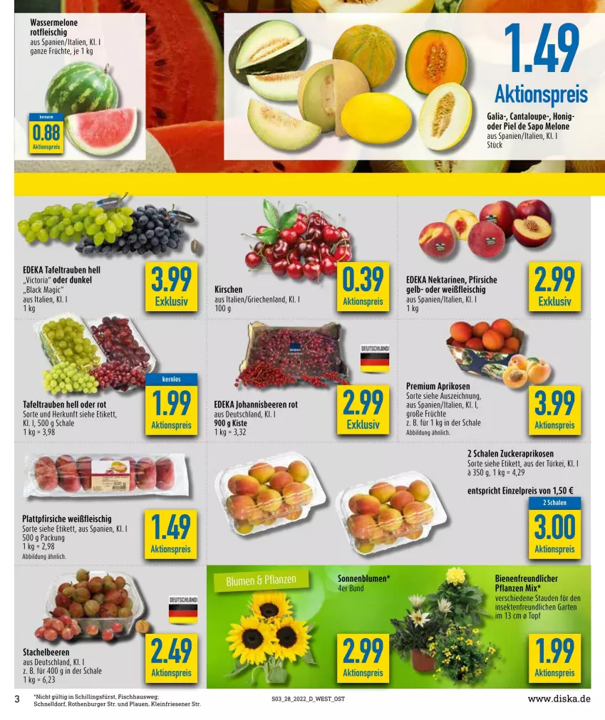 Aktueller Prospekt Diska - Prospekte - von 04.07 bis 09.07.2022 - strona 3 - produkty: aktionspreis, aprikose, aprikosen, beere, beeren, burger, deka, eis, fisch, fleisch, früchte, honig, johannisbeere, Johannisbeeren, kirsch, kirsche, kirschen, lack, melone, Nektar, nektarinen, pfirsich, pfirsiche, plattpfirsiche, reis, Ria, Schal, Schale, Stachelbeeren, tafeltrauben, Ti, trauben, wasser, wassermelone, zucker