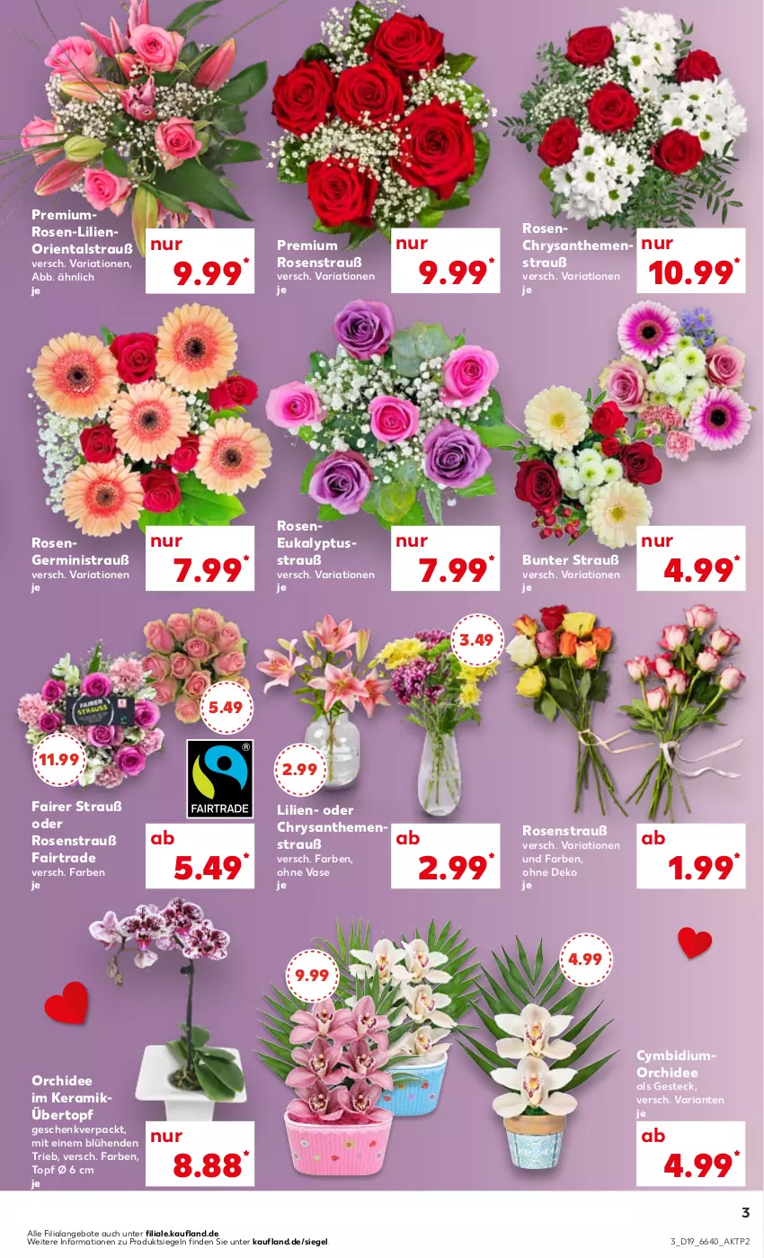 Aktueller Prospekt Kaufland - Prospekt - von 09.05 bis 15.05.2024 - strona 3 - produkty: angebot, angebote, chrysanthemen, Germ, orchidee, Ria, rosen, Rosenstrauß, Ti, topf, übertopf, Vase