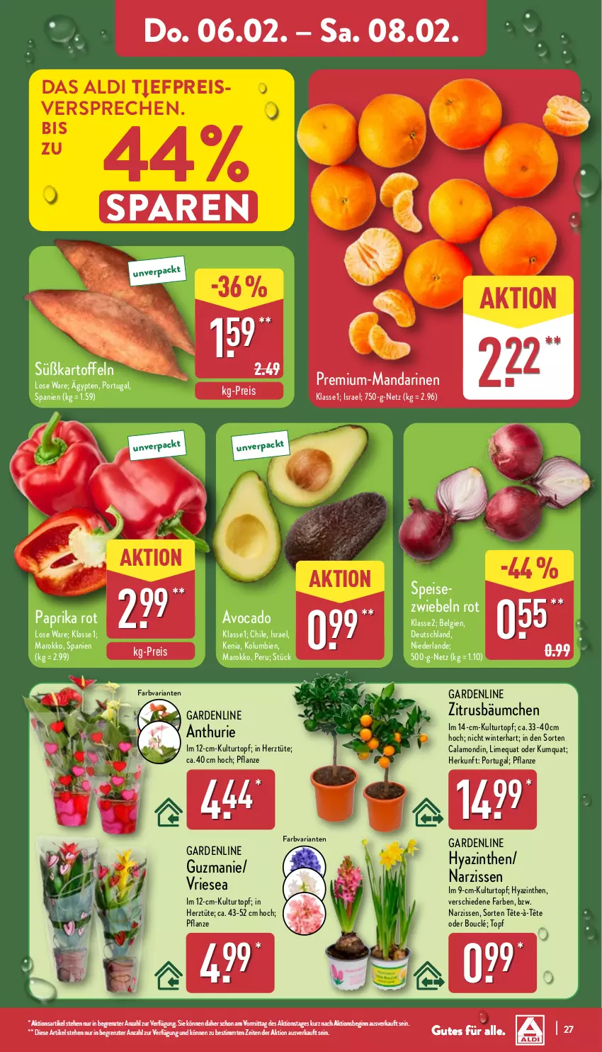 Aktueller Prospekt Aldi Nord - Von Montag - von 03.02 bis 08.02.2025 - strona 27 - produkty: aldi, avocado, eis, gin, kartoffel, kartoffeln, kulturtopf, LG, mandarine, mandarinen, Narzissen, paprika, paprika rot, pflanze, reis, Ria, Speisezwiebeln, Süßkartoffeln, Ti, topf, Tüte, usb, ZTE, zwiebel, zwiebeln