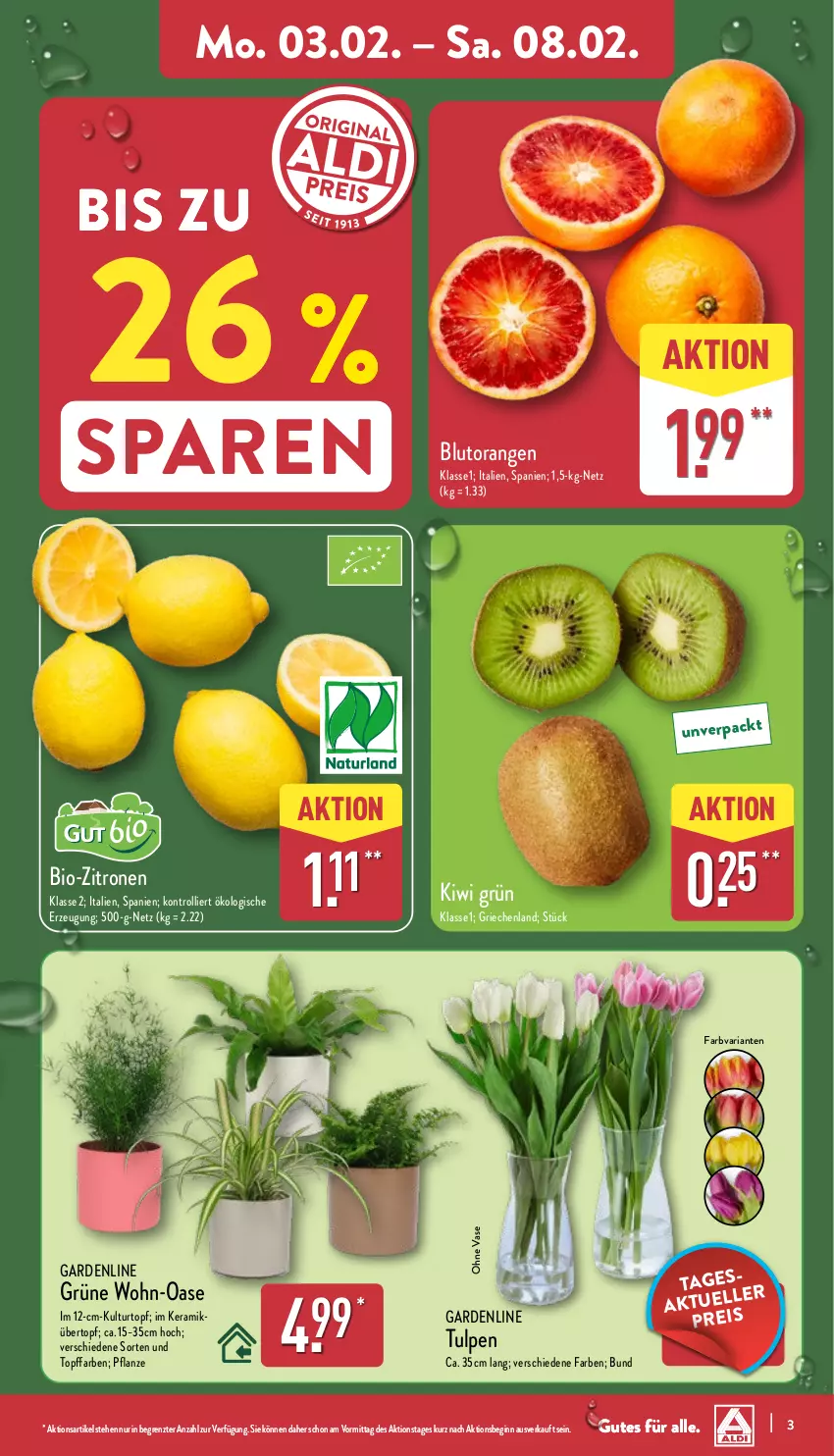 Aktueller Prospekt Aldi Nord - Von Montag - von 03.02 bis 08.02.2025 - strona 3 - produkty: bio, bio-zitronen, Blutorange, gin, kiwi, kulturtopf, orange, orangen, pflanze, Ria, Ti, topf, trolli, übertopf, Vase, zitrone, zitronen, ZTE