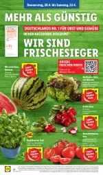 Gazetka promocyjna Lidl - Aktionsprospekt - Gazetka - ważna od 22.04 do 22.04.2023 - strona 32 - produkty: Abtei, angebot, basilikum, discount, eis, ente, frucht, LG, magazin, melone, obst, Obst und Gemüse, radieschen, Rauch, reis, salat, strauchtomaten, Ti, tomate, tomaten, topf, und gemüse, wasser, wassermelone